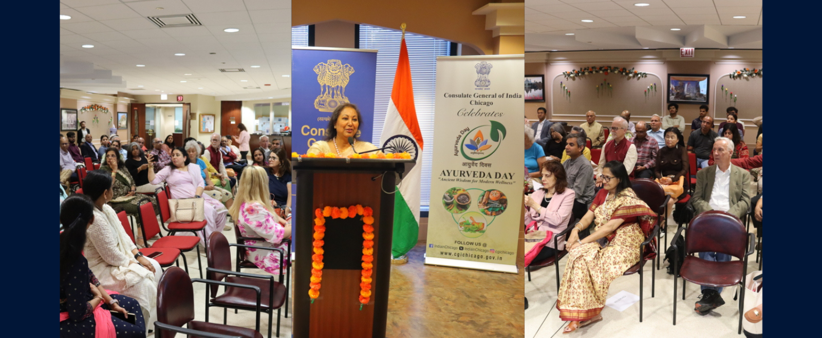 10th Ayurveda Day